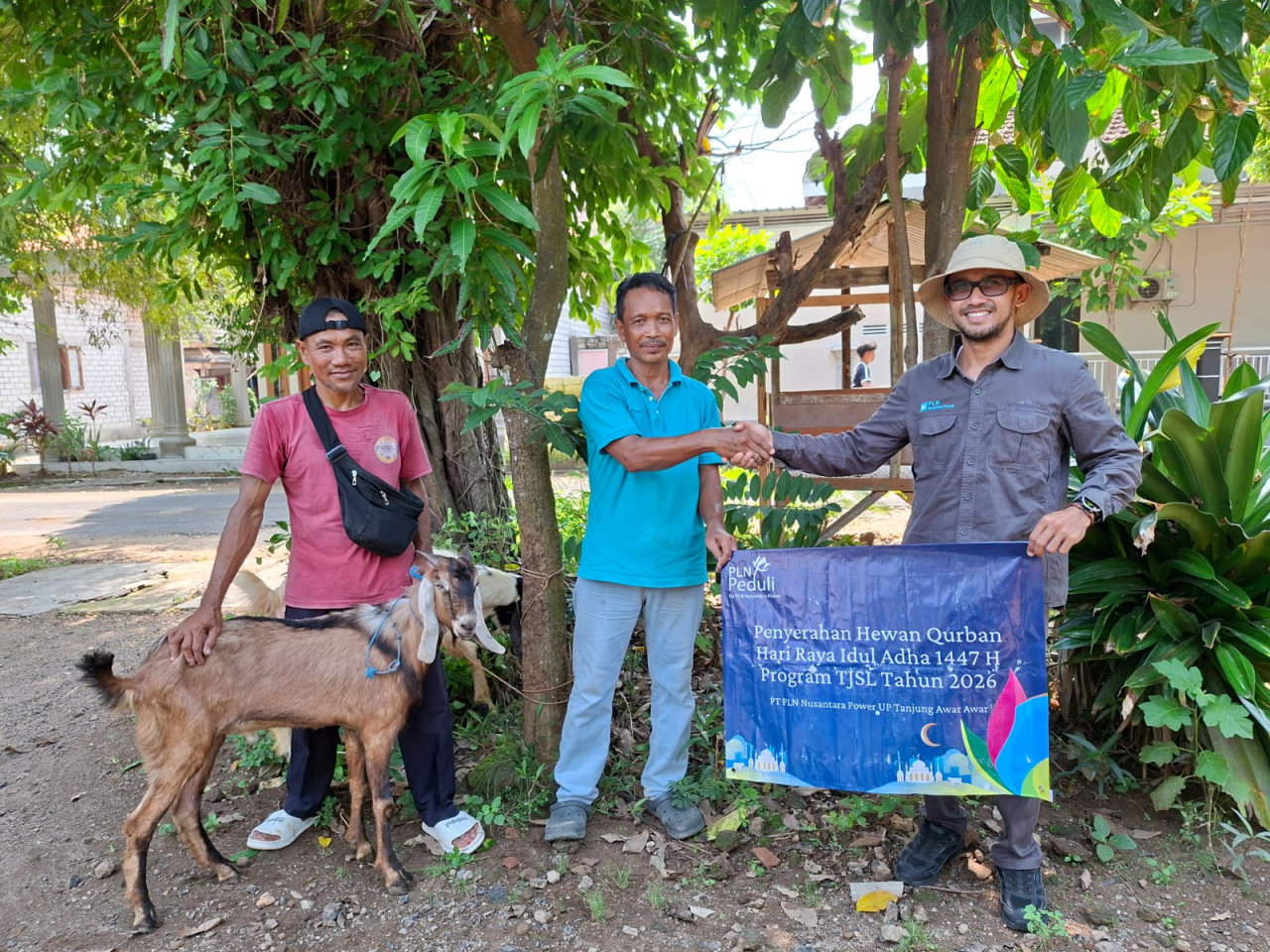 PLN Nusantara Power UP Tanjung Awar-Awar Salurkan Hewan Qurban di Idul Adha 1447 H